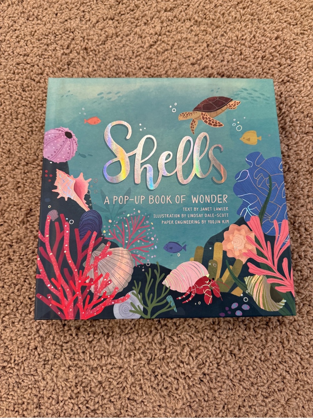 Shells: A Pop-Up Book of Wonder by Janet Lawler